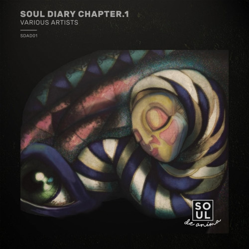 VA - Soul Diary Chapter.1 [SDASD001]